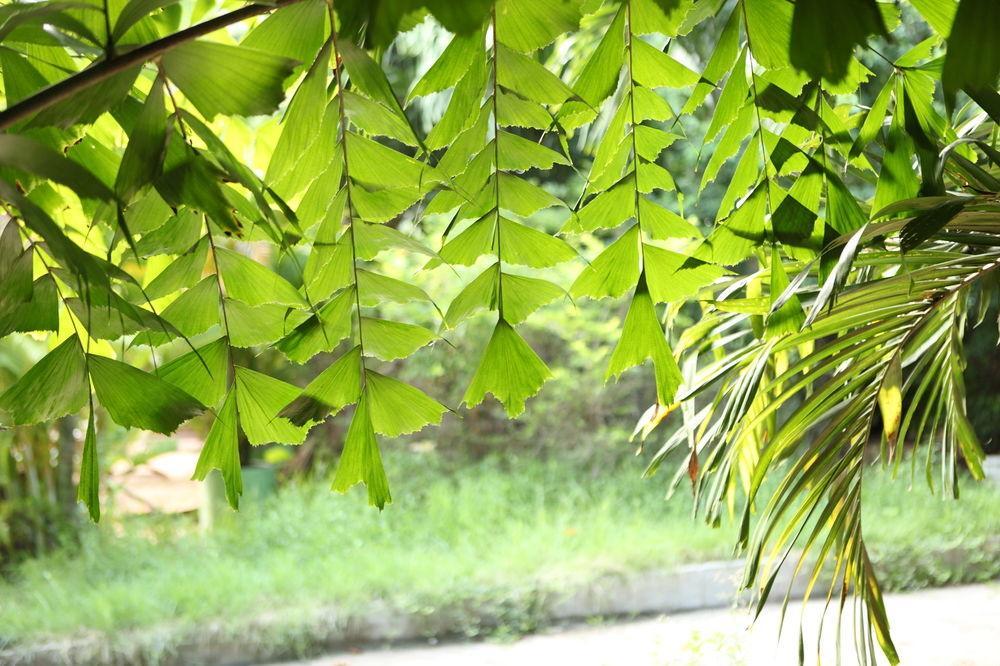 The Kabiki Otel Phnom Penh Dış mekan fotoğraf